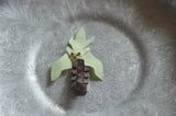 05 Palm Tree